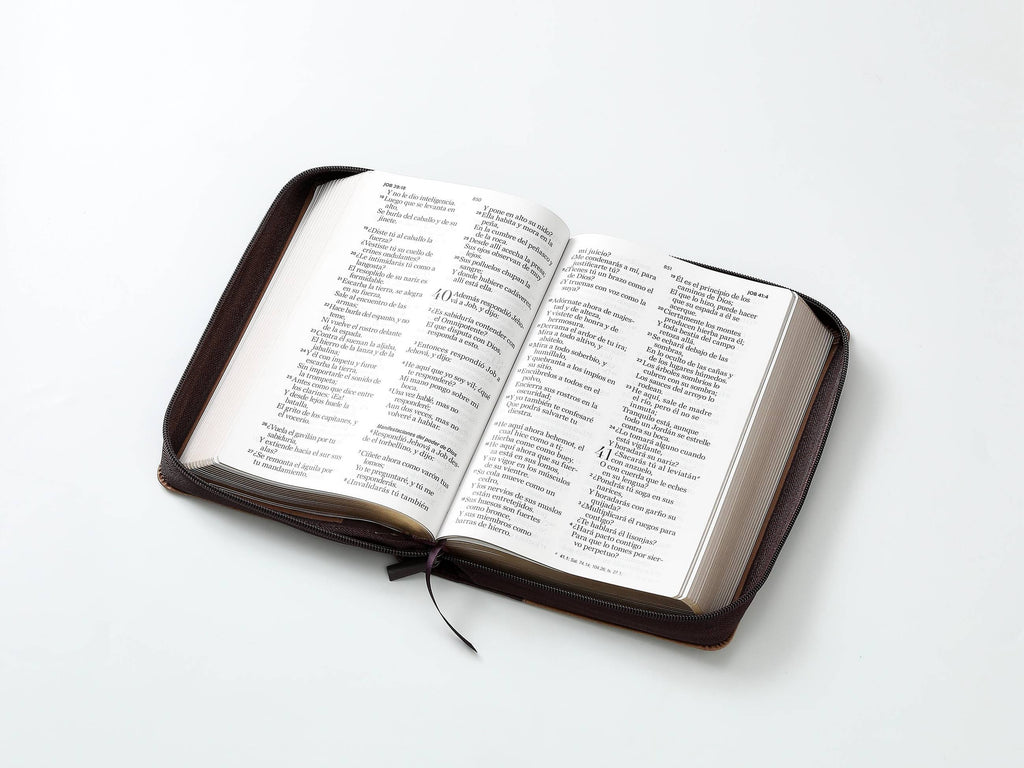 Biblia RVR60 tamaño manual letra Gigante Café