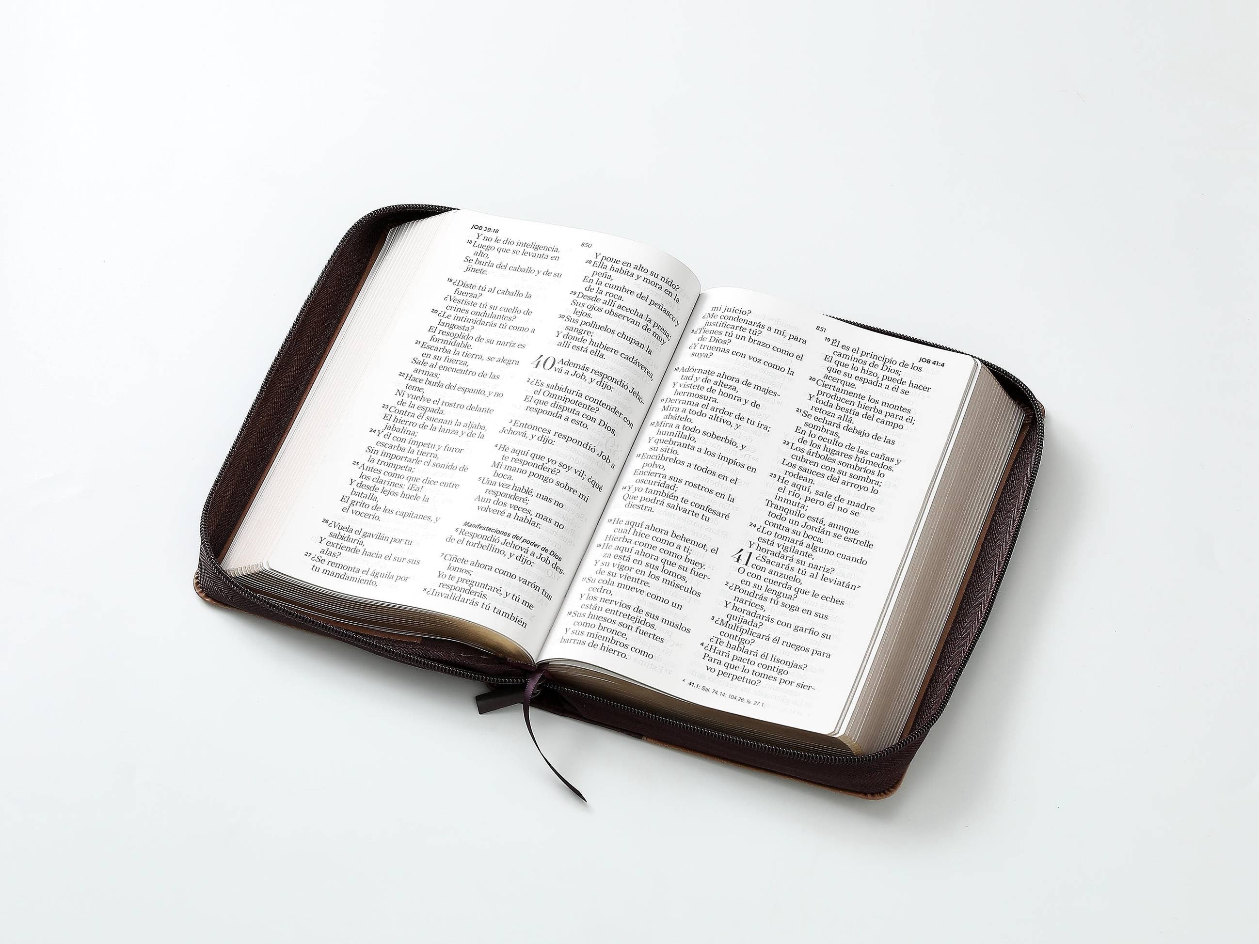 Biblia RVR60 tamaño manual letra Gigante Café