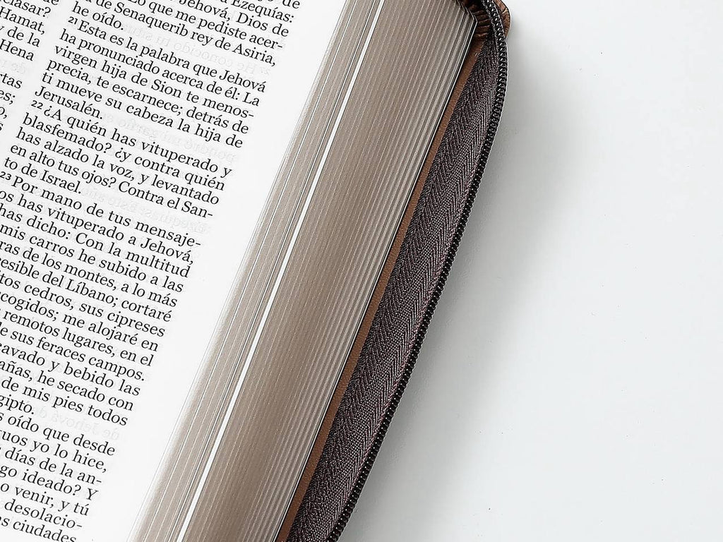 Biblia RVR60 tamaño manual letra Gigante Café