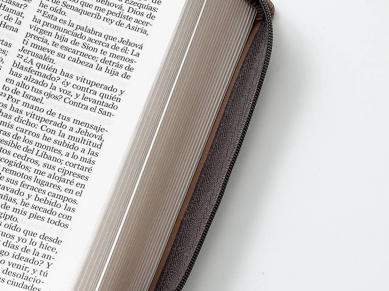 Biblia RVR60 tamaño manual letra Gigante Café