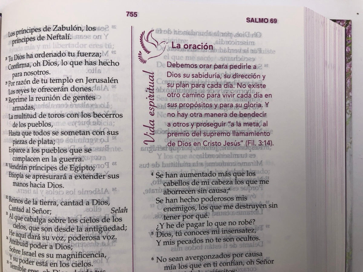 Biblia RVR 1960 de la Mujer Conforme al Corazón de Dios Tapa Dura