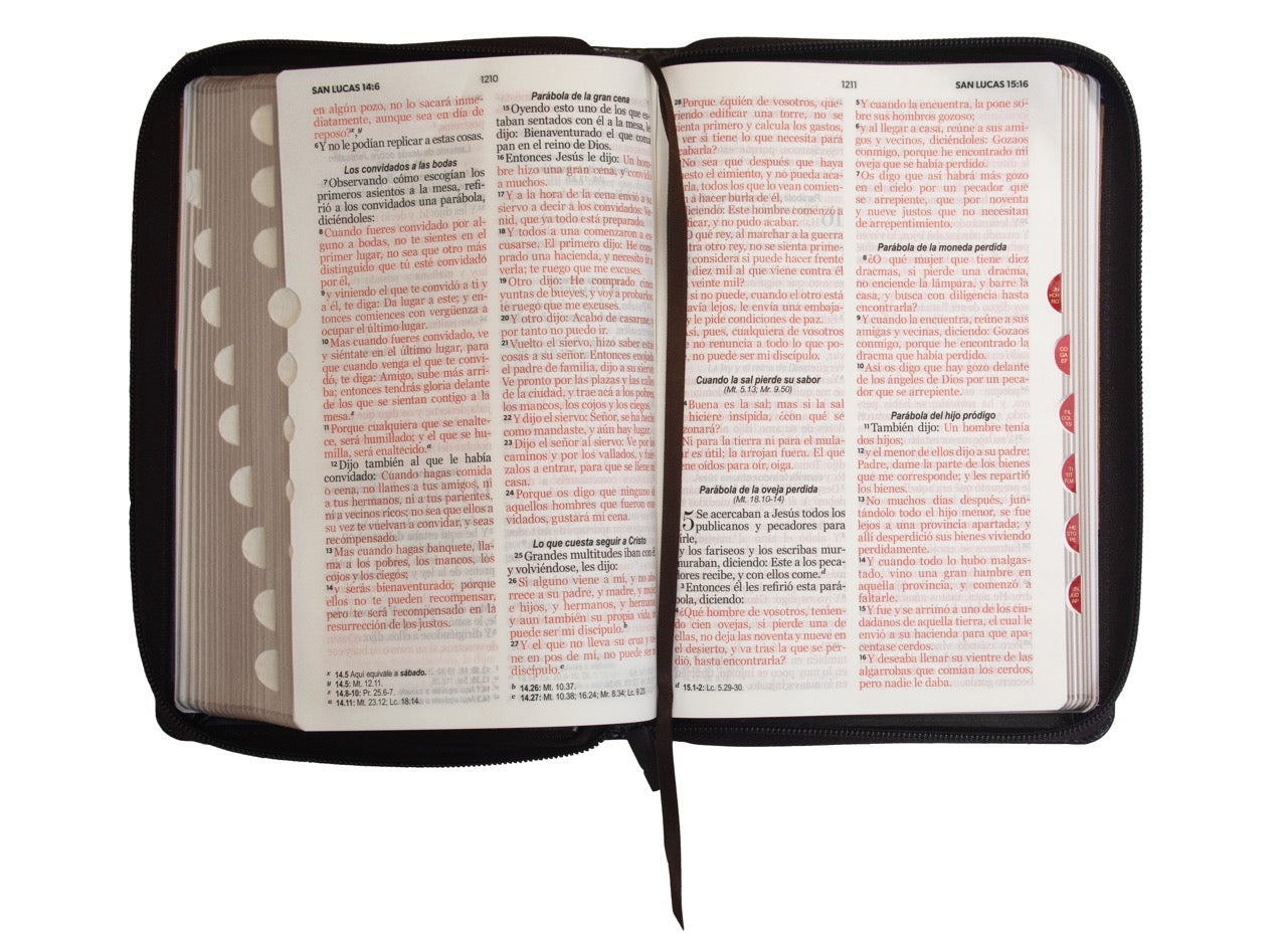 Biblia RVR60 Tamaño Manual Letra Grande cierre indice