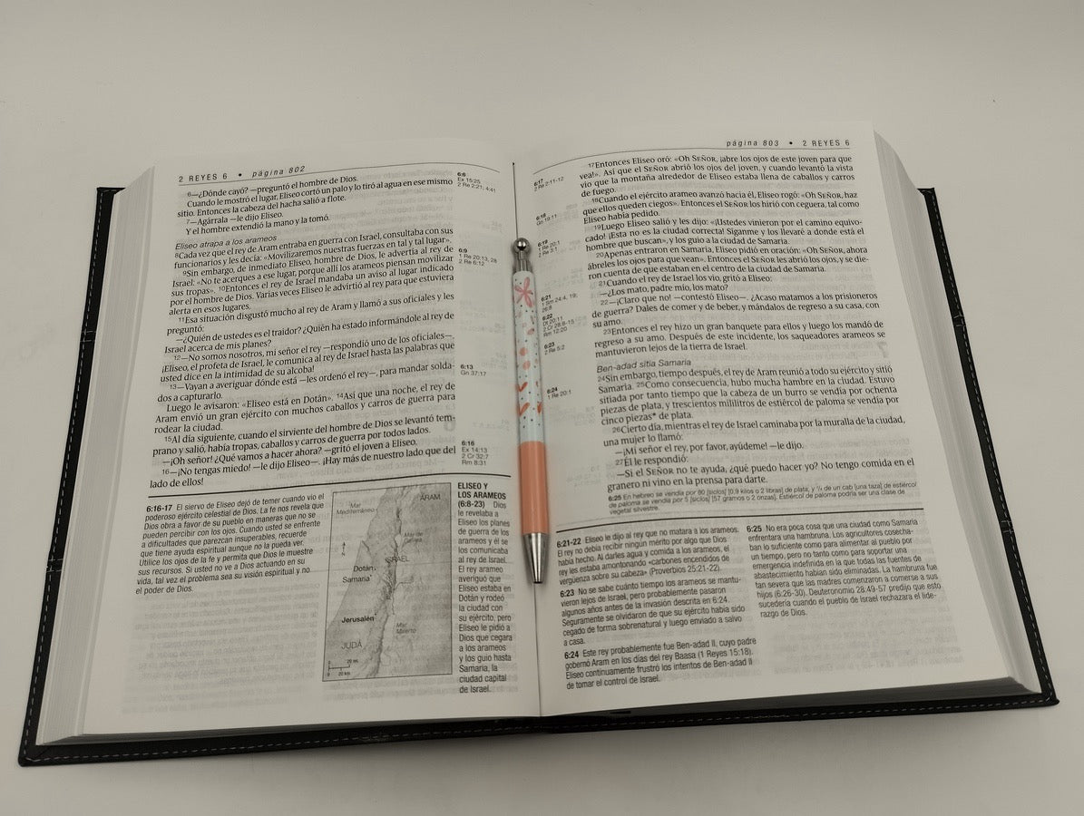 Biblia NTV de Estudio Diario Vivir Letra Grande Símil Piel Negro