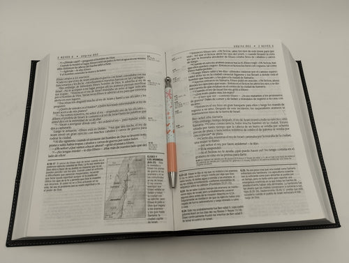 Biblia NTV de Estudio Diario Vivir Letra Grande Símil Piel Negro