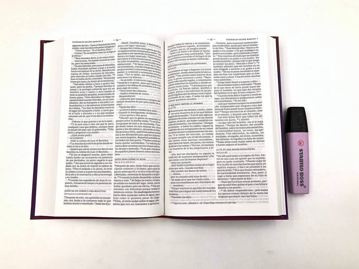 Biblia DHH tamaño Manual Granate