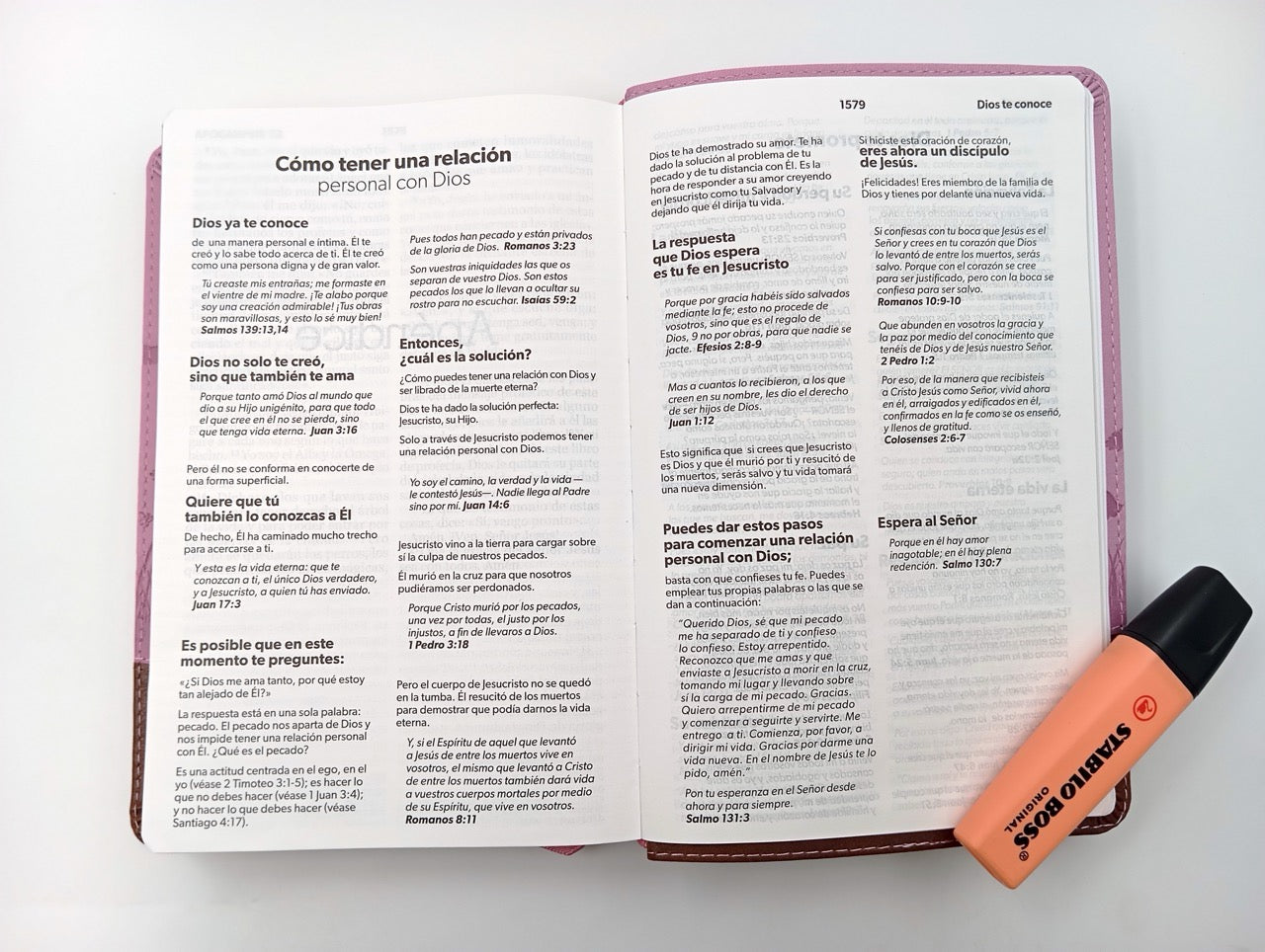 Biblia NVI Peninsular Tamaño Manual letra grande Café