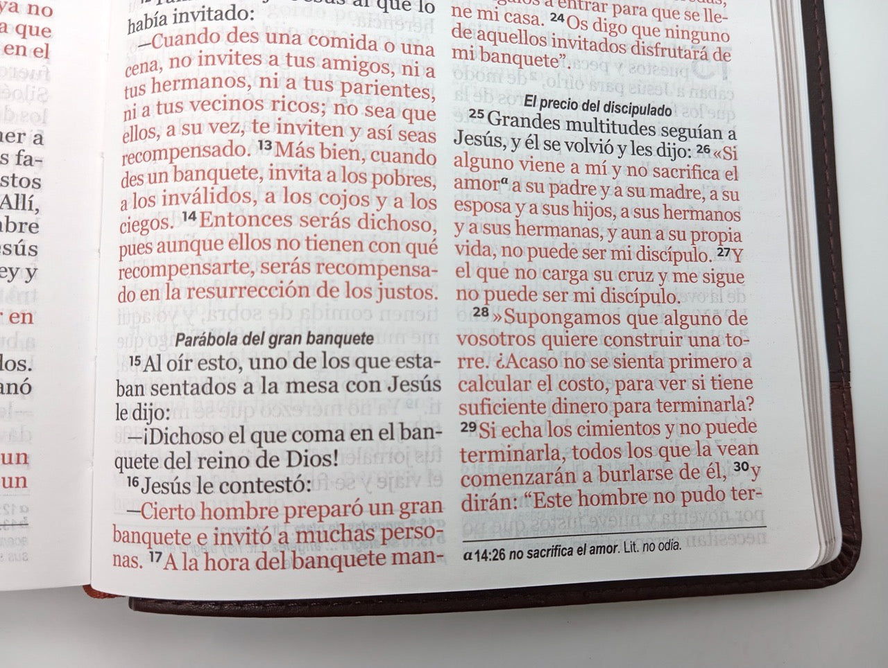 Biblia NVI Peninsular Tamaño manual letra grande café