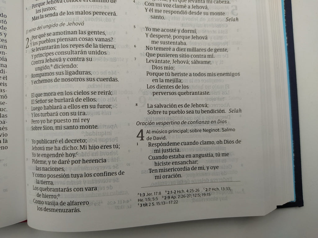 Biblia RVR 1960 Ultrafina Azul Bordado sobre Tela