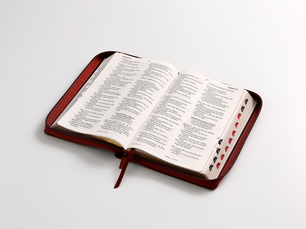 Biblia RVR60 Tamaño Manual Letra Grande marrón cierre indice