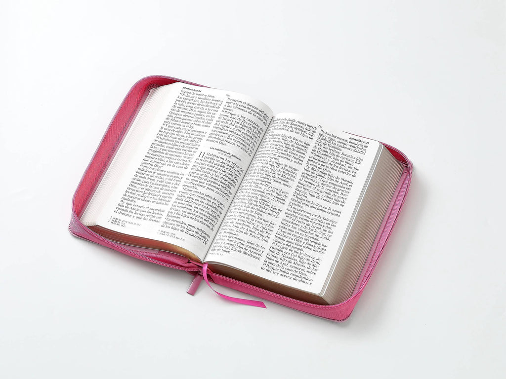 Biblia RVR60 tamaño manual letra Gigante Rosa