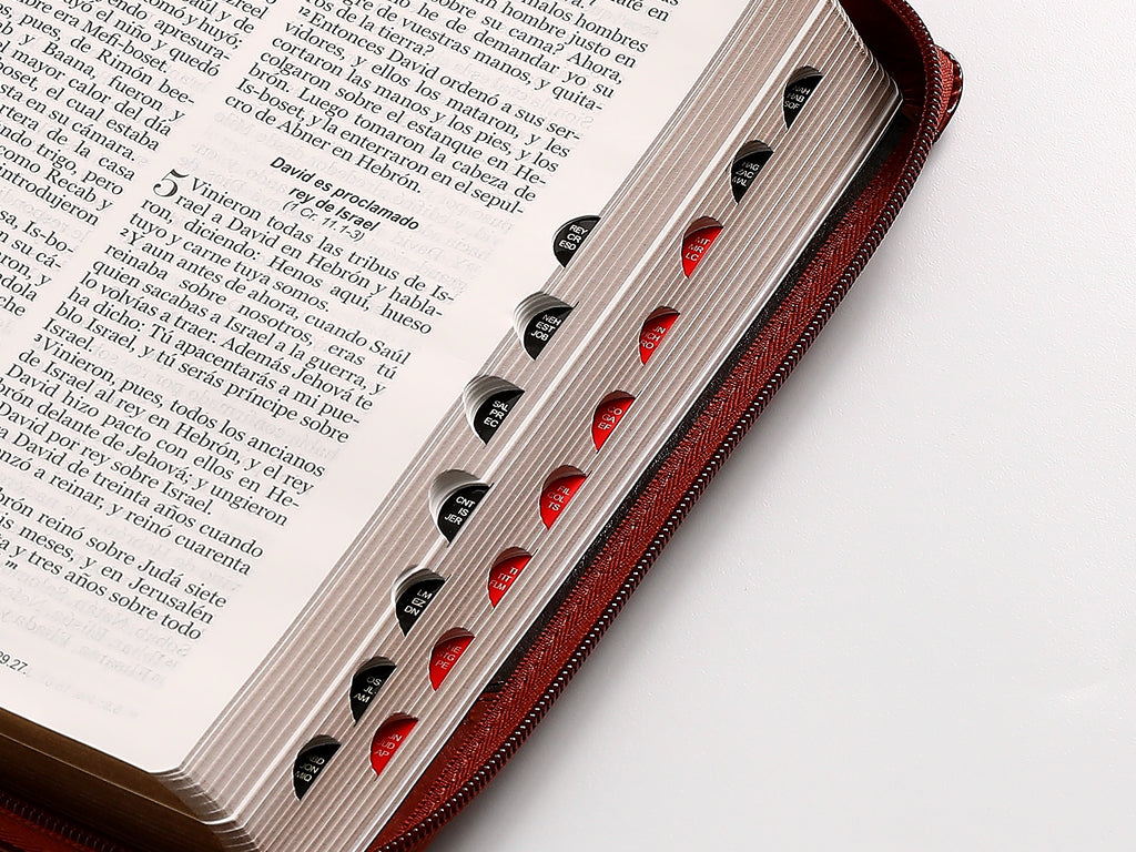 Biblia RVR60 Tamaño Manual Letra Grande marrón cierre indice