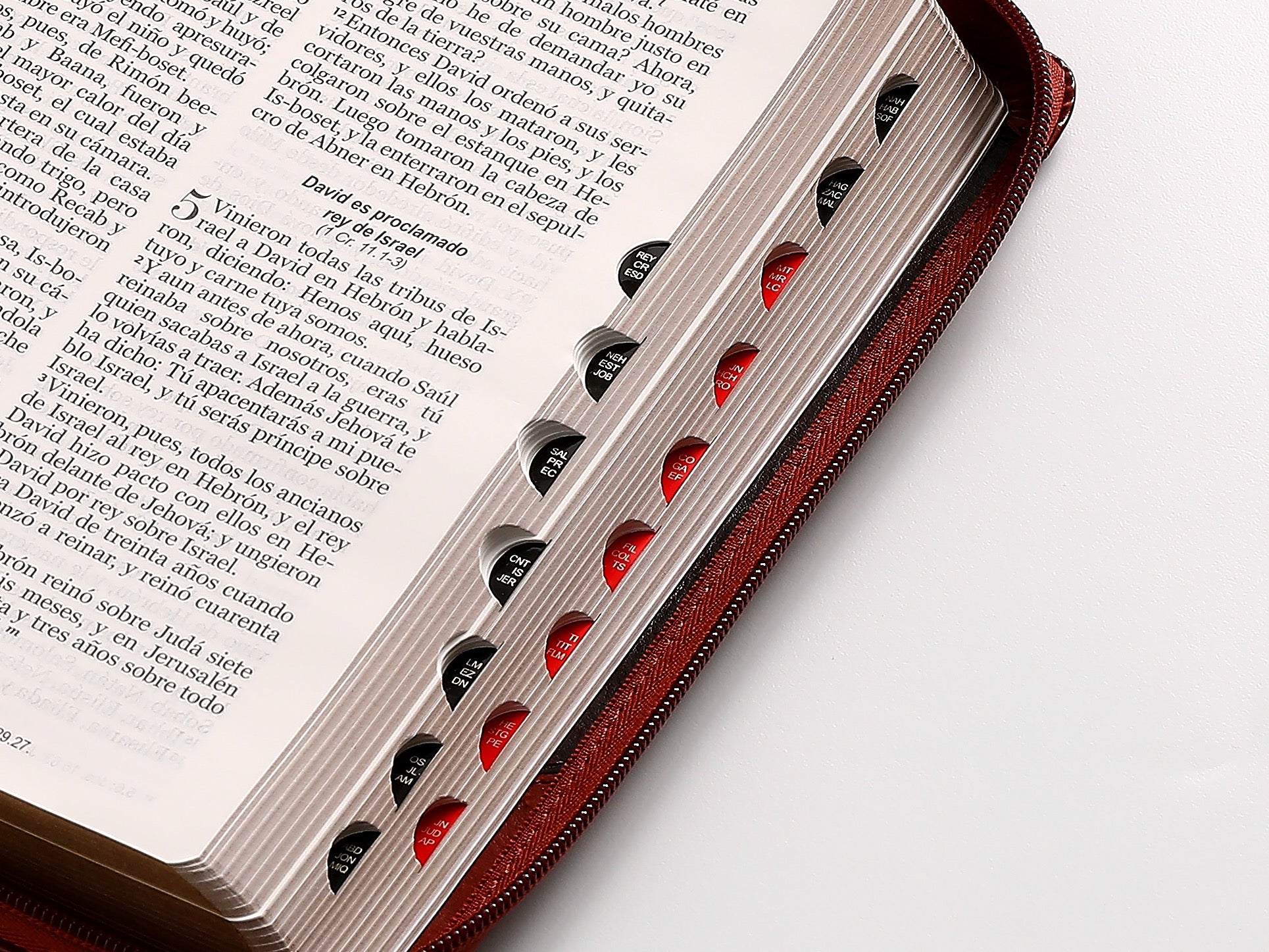 Biblia RVR60 Tamaño Manual Letra Grande marrón cierre indice