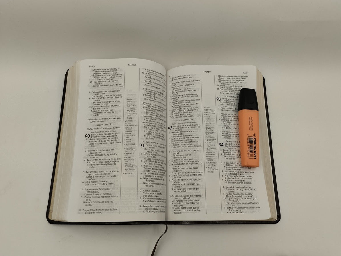 Biblia RVR 1960 de Estudio Scofield Tamaño Personal similar piel