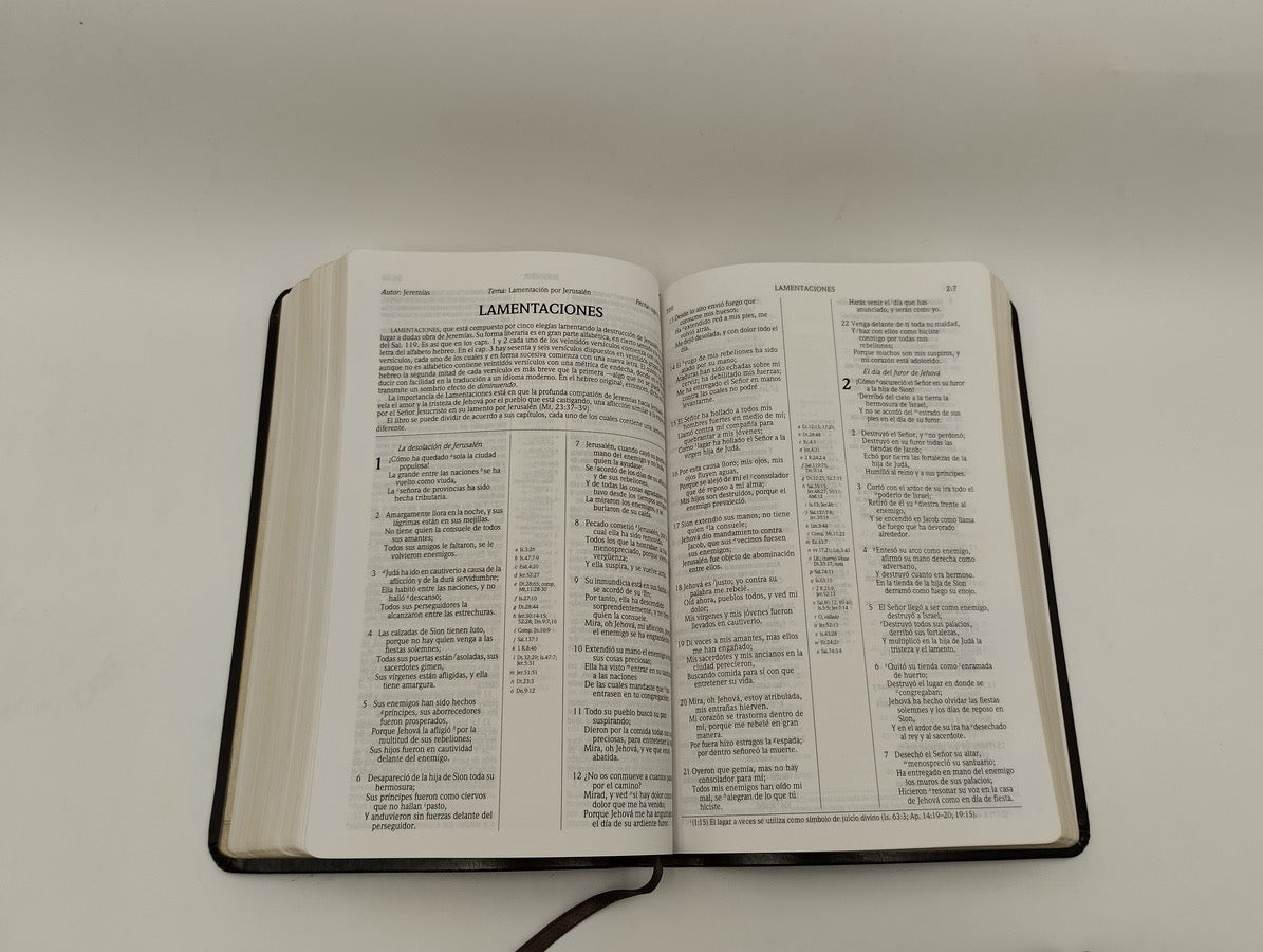 Biblia RVR 1960 de Estudio Scofield Tamaño Personal similar piel