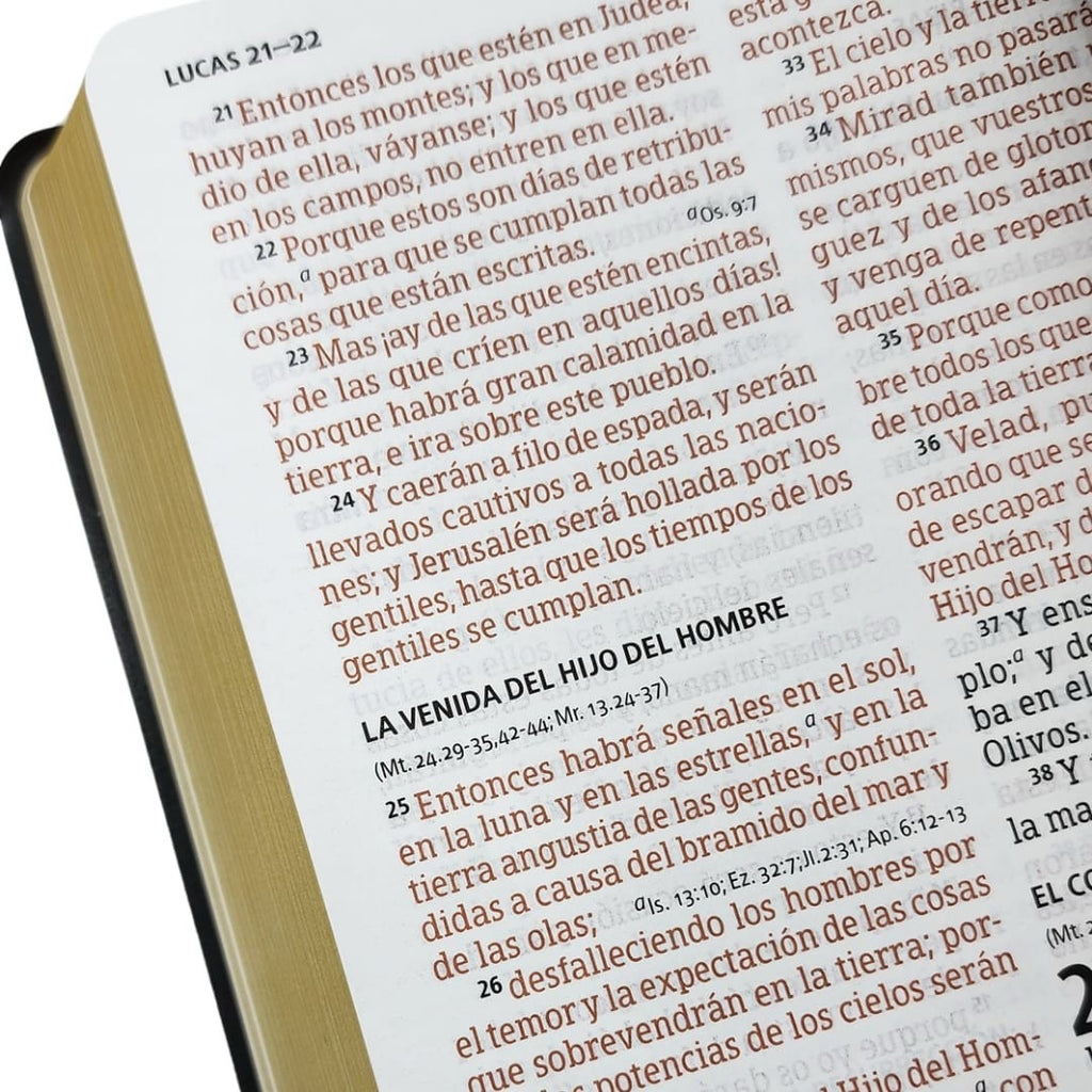 BIBLIA RVR1960 LETRA GRANDE TAMAÑO MANUAL