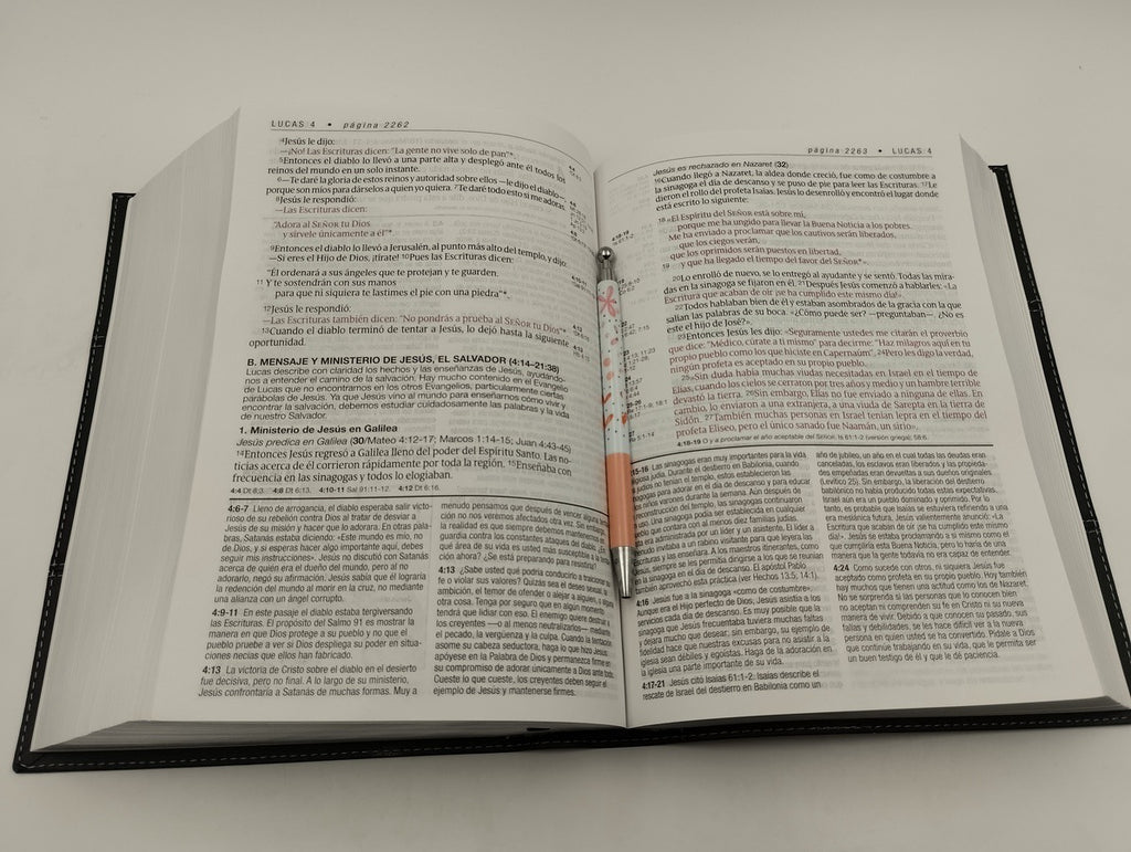 Biblia NTV de Estudio Diario Vivir Letra Grande Símil Piel Negro