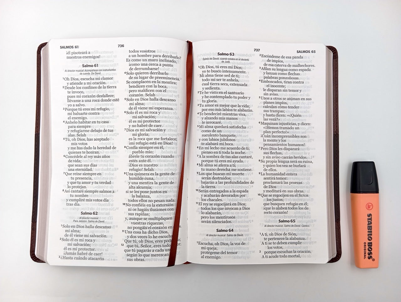 Biblia NVI Peninsular Tamaño manual letra grande café