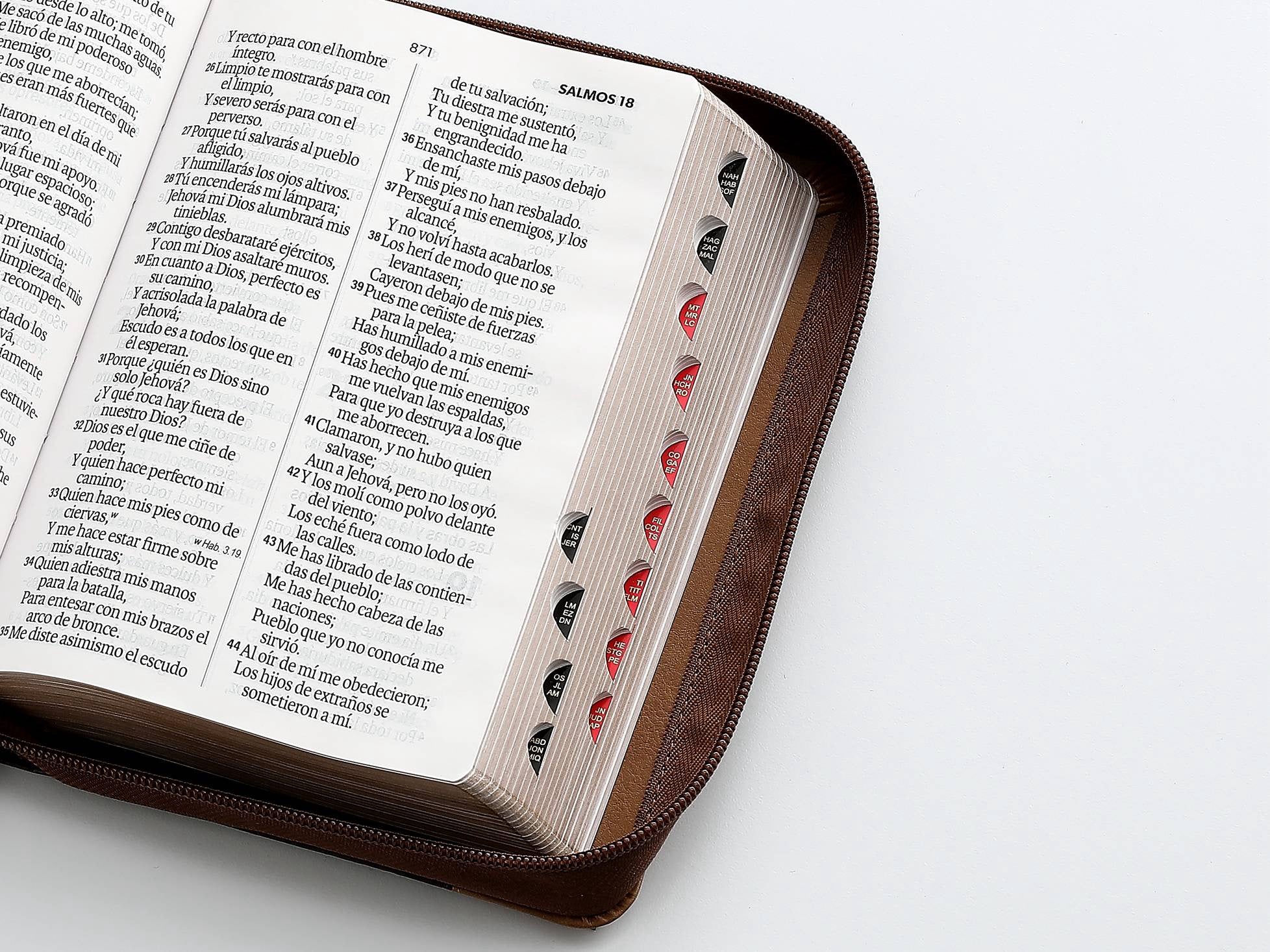 Biblia RVR60 Tamaño compacto Letra Grande 12 puntos aguila