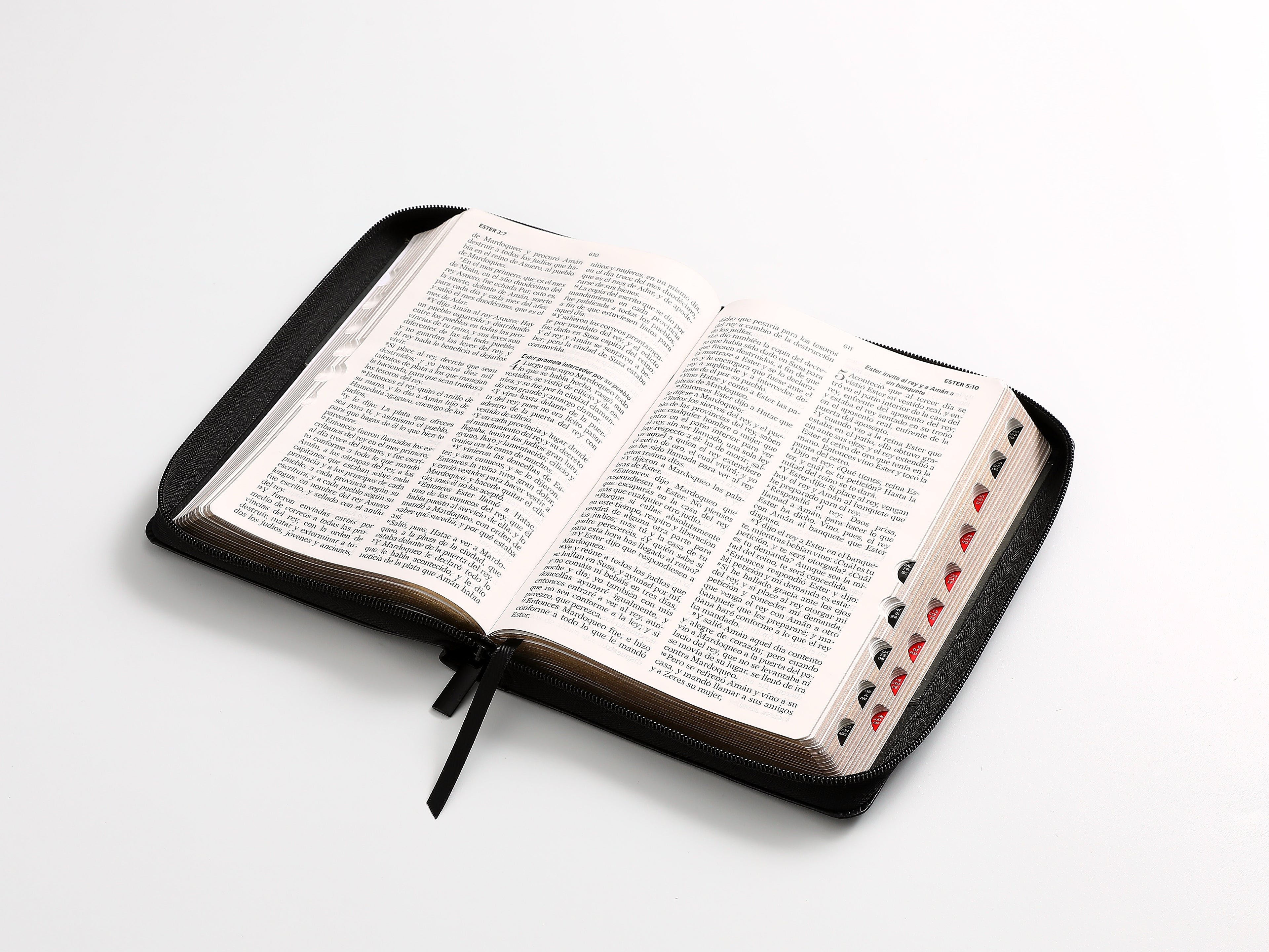 Biblia RVR60 Tamaño Manual Letra Grande con cierre indice