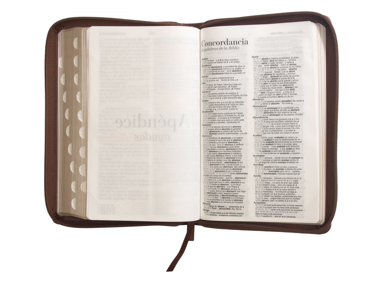 Biblia RVR60 Tamaño Manual Letra Grande cierre indice