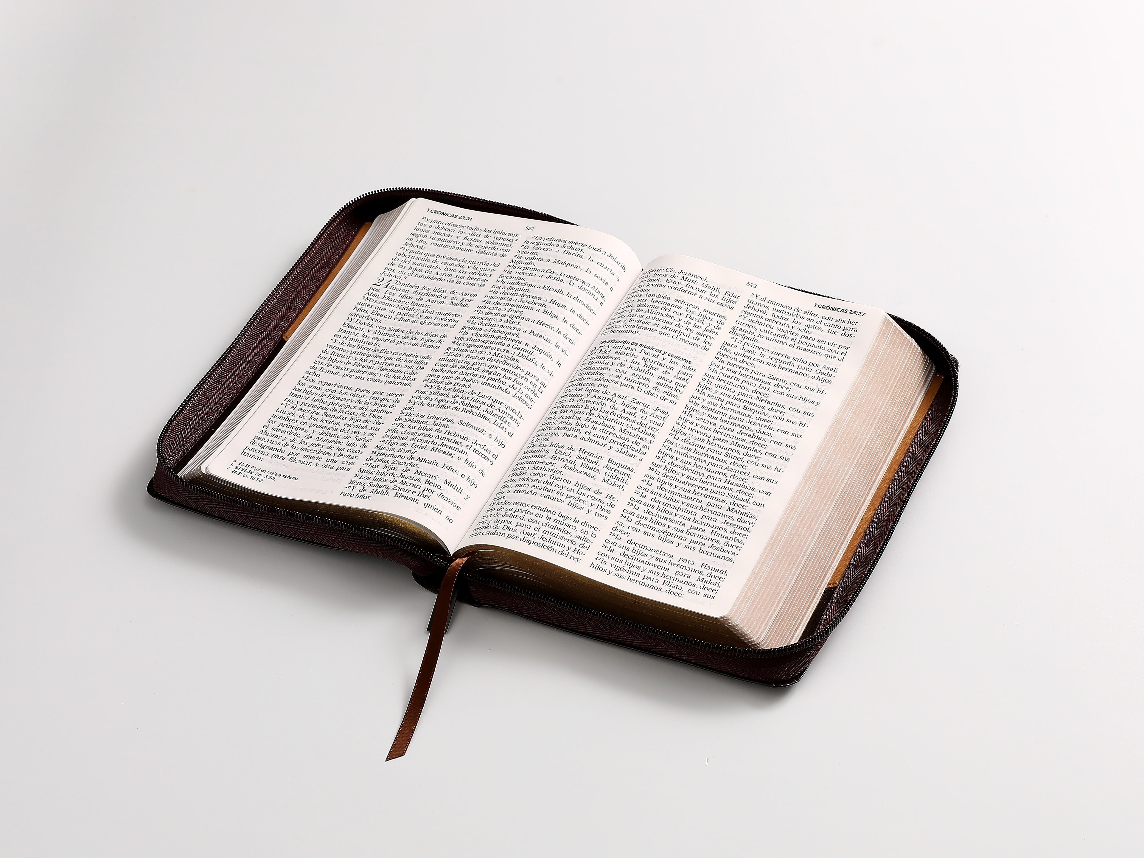 Biblia RVR60 Tamaño Manual Letra Grande café