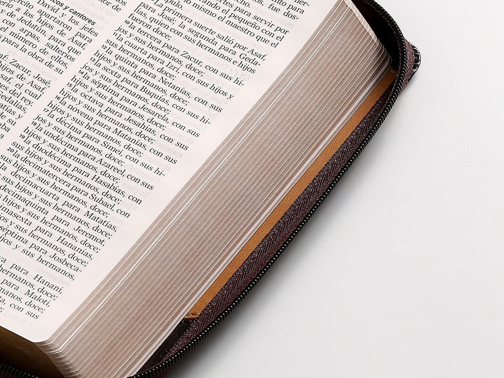 Biblia RVR60 Tamaño Manual Letra Grande café