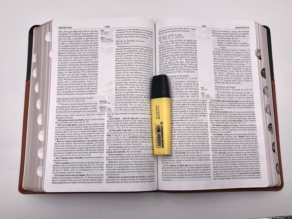Biblia RVR 1960 de Estudio MacArthur Piel con Índice