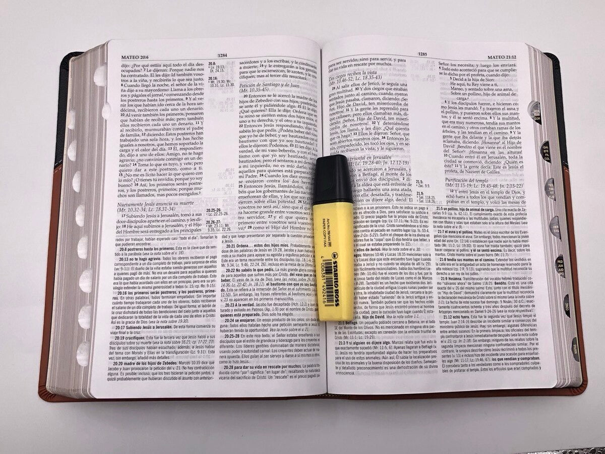 Biblia RVR 1960 de Estudio MacArthur Piel con Índice