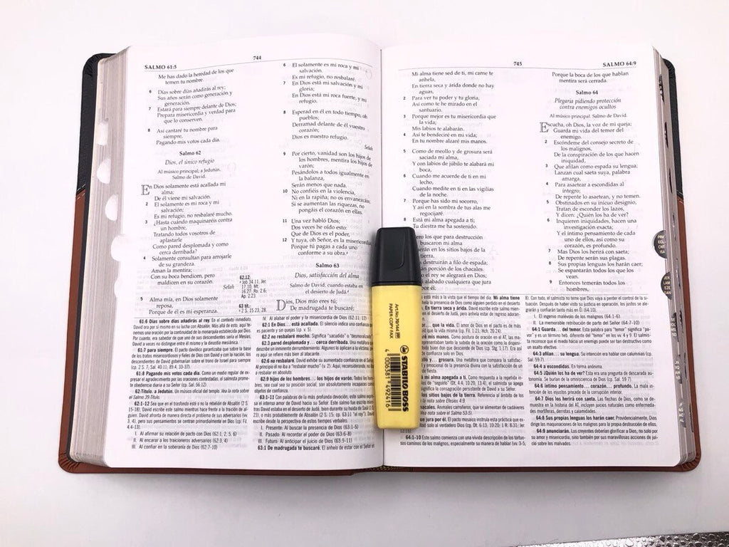 Biblia RVR 1960 de Estudio MacArthur Piel con Índice