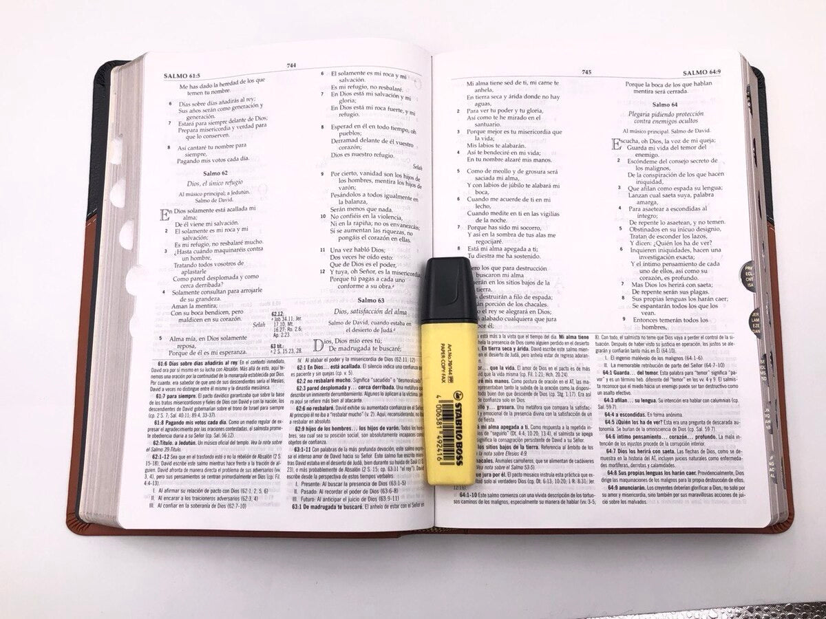 Biblia RVR 1960 de Estudio MacArthur Piel con Índice