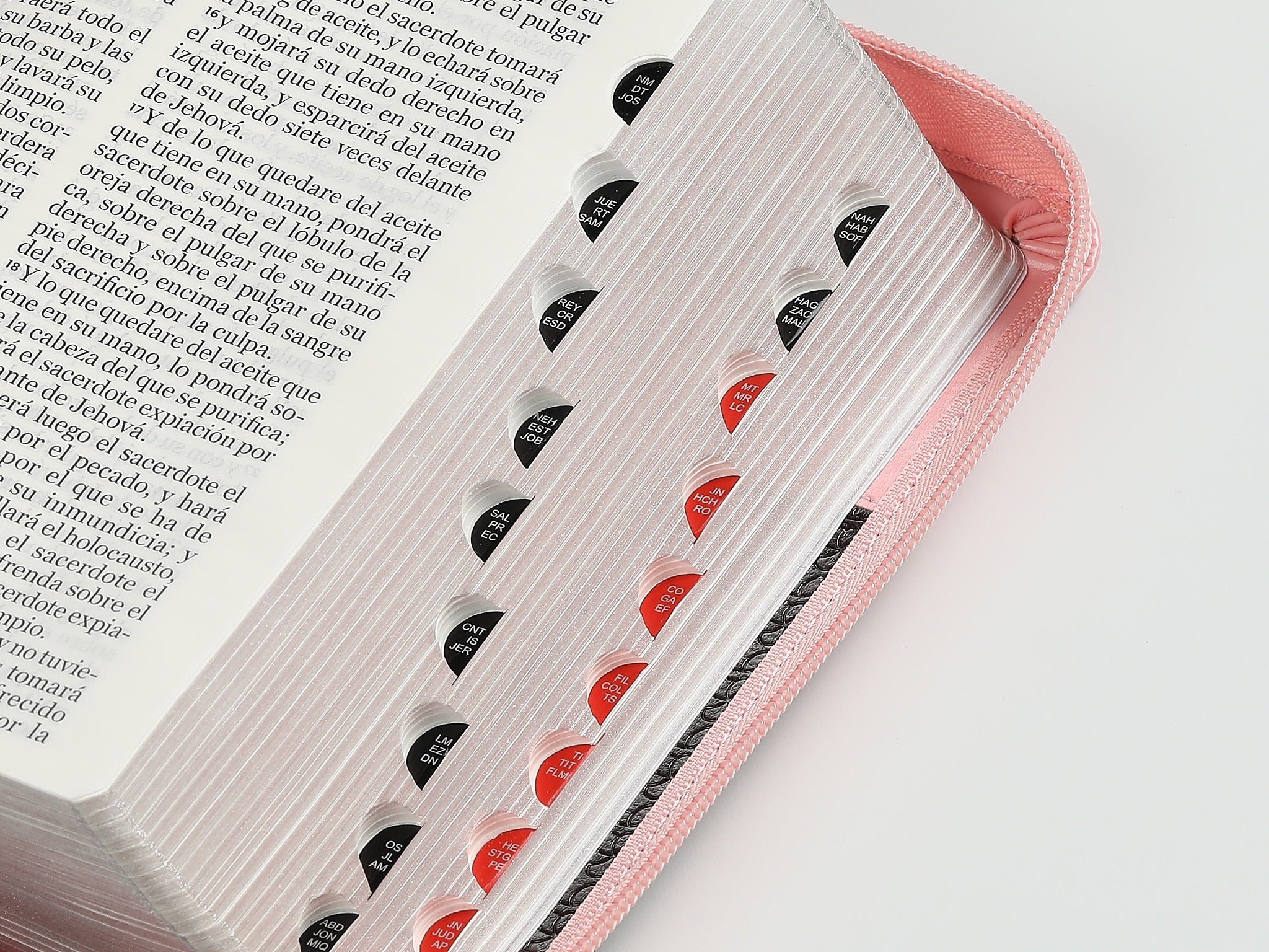 Biblia RVR60 portátil Letra Grande 11 puntos con Rosa