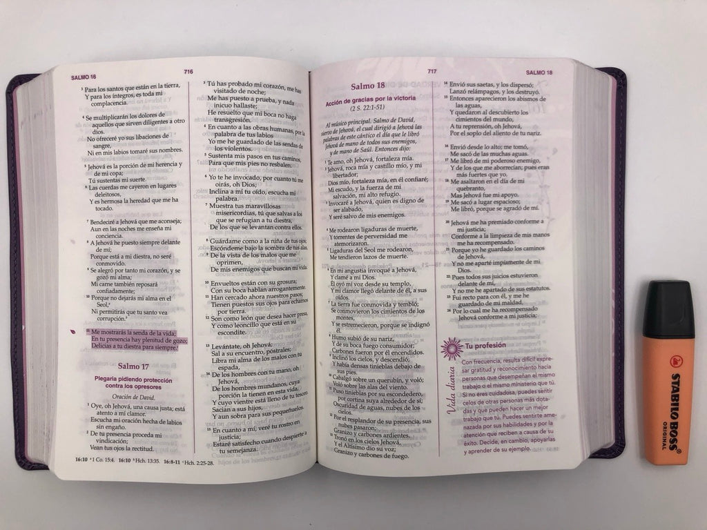 Biblia RVR 1960 de la Mujer Conforme al Corazón de Dios Piel Morado