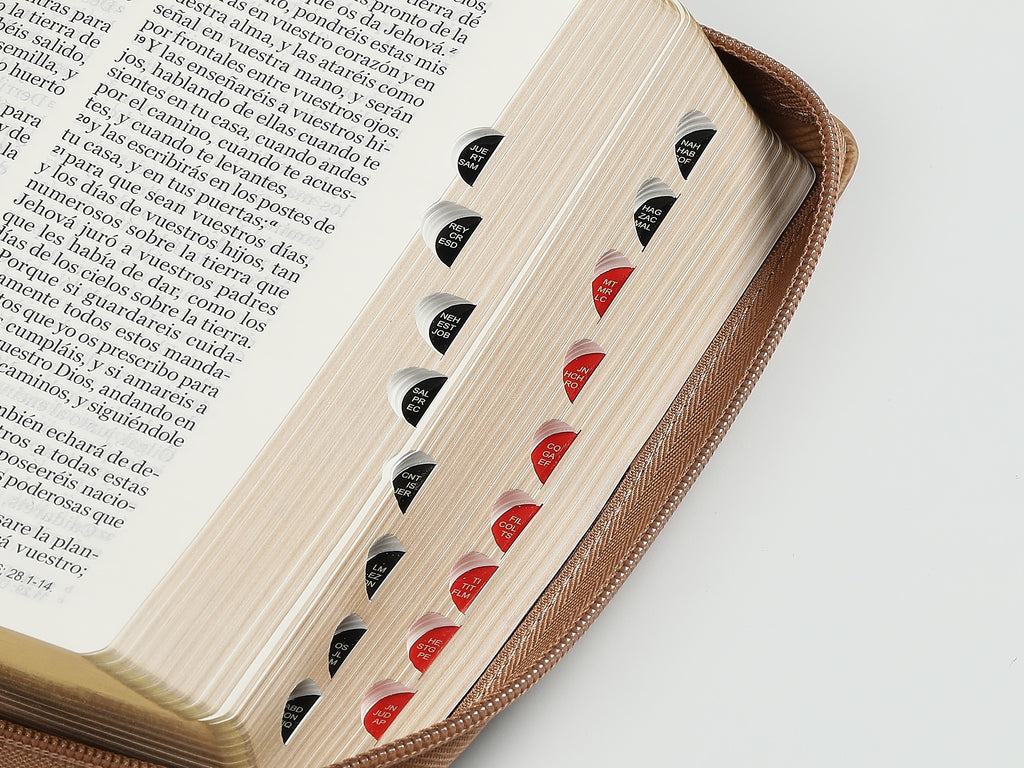 Biblia RVR60 portátil Letra Grande 11 puntos con cierre aguila