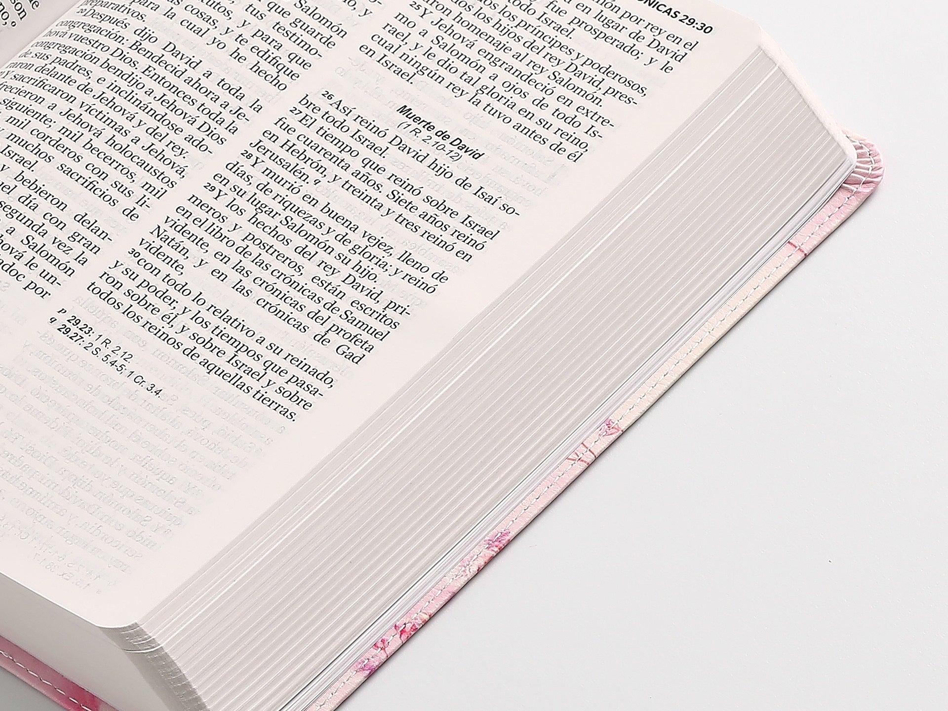 Biblia RVR60 Tamaño manual Letra Grande rosa