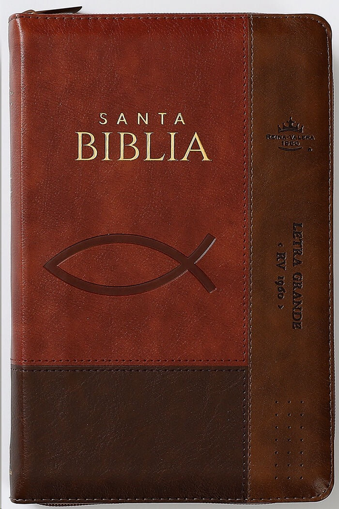Biblia RVR60 Tamaño Manual letra grande