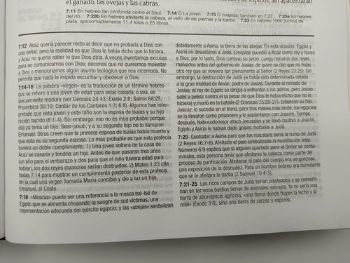 Biblia NTV de Estudio Diario Vivir Letra Grande Símil Piel café