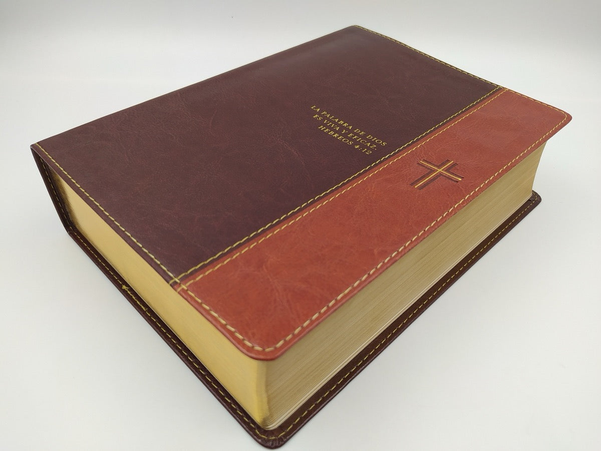 Biblia RVR 1960 de Estudio Diario Vivir Letra Grande simil piel