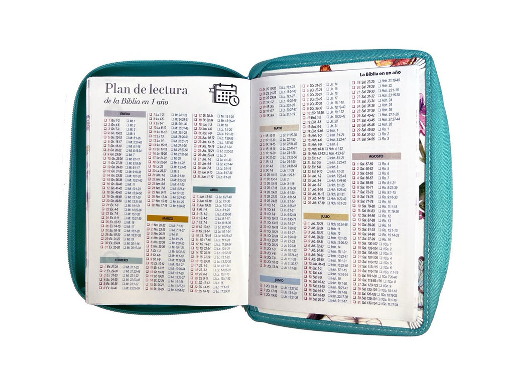 Biblia RVR60 portátil Letra Grande 11 puntos mariposa cierre indice