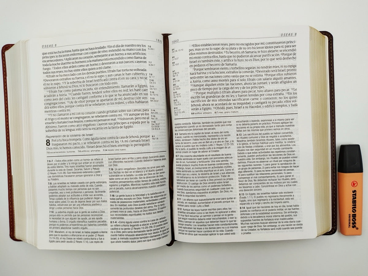 Biblia RVR 1960 de Estudio Diario Vivir Letra Grande simil piel