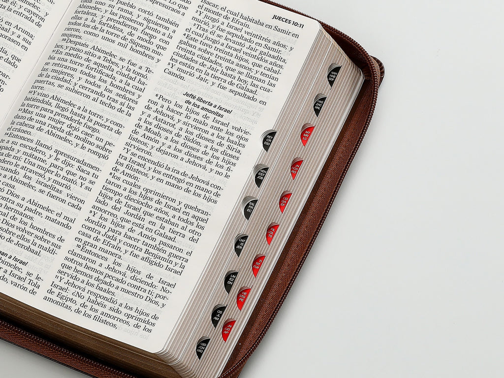 Biblia RVR60 Tamaño Manual letra grande