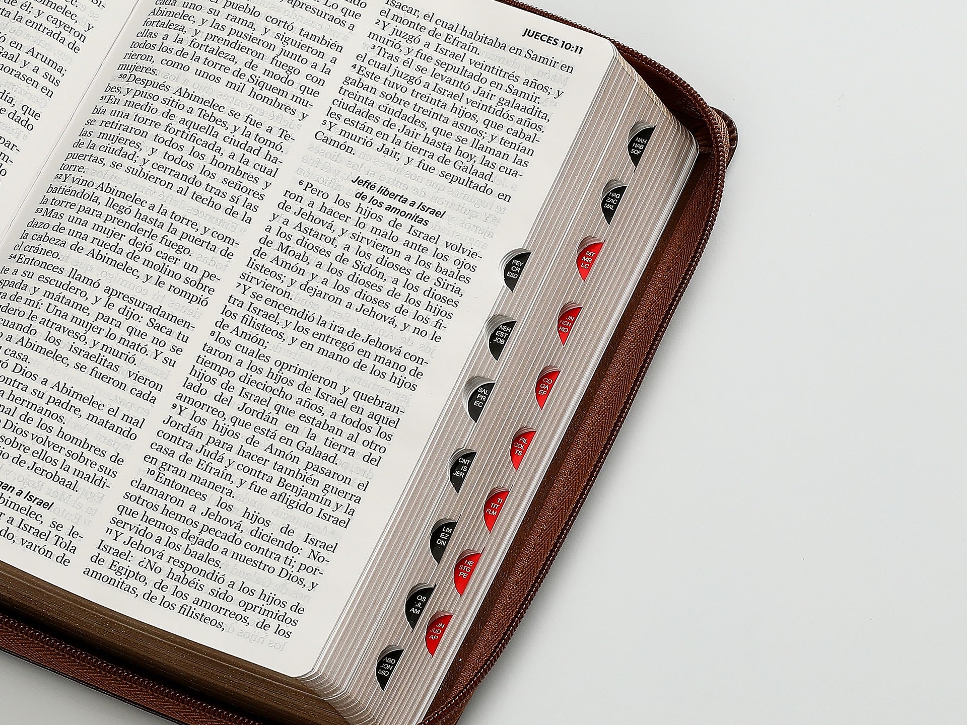 Biblia RVR60 Tamaño Manual letra grande