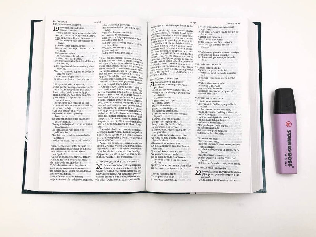 Biblia DHH tamaño Manual Verde