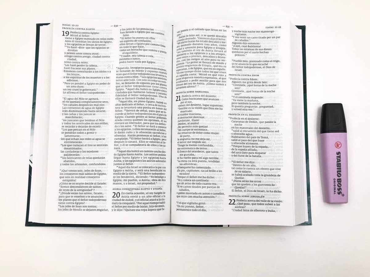 Biblia DHH tamaño Manual Verde