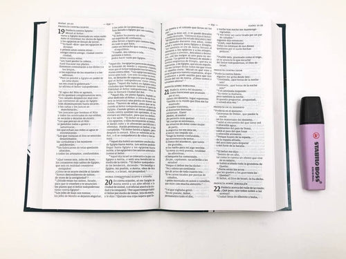 Biblia DHH tamaño Manual Verde