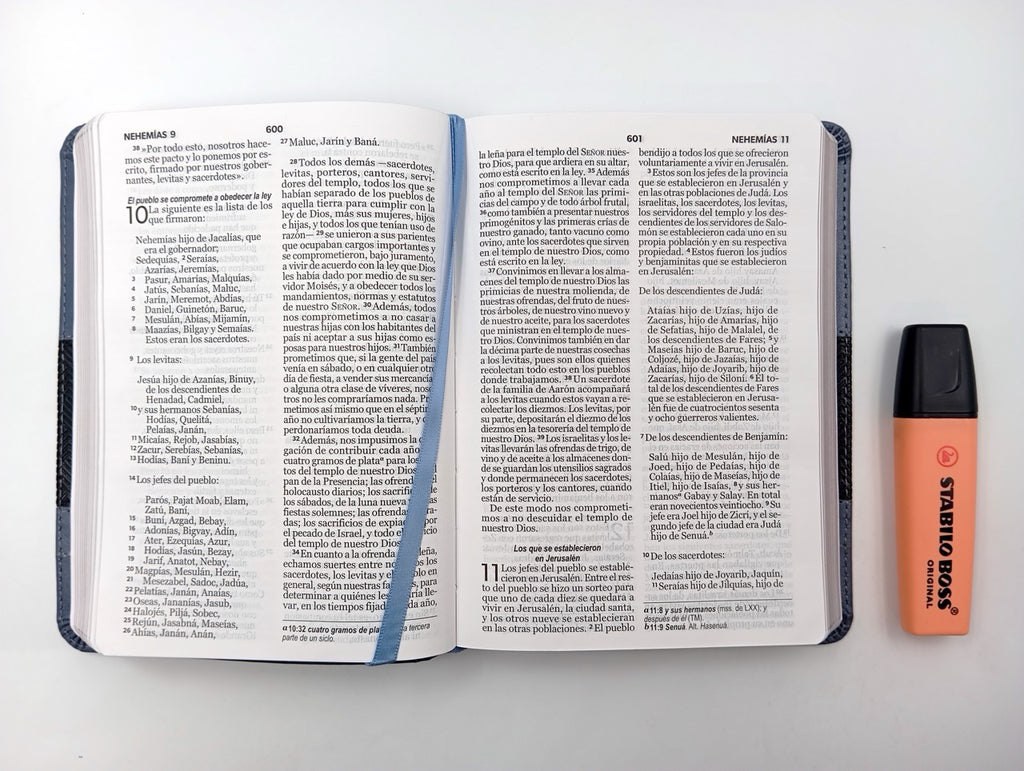 Biblia NVI Peninsular Portátil Letra Grande Negro