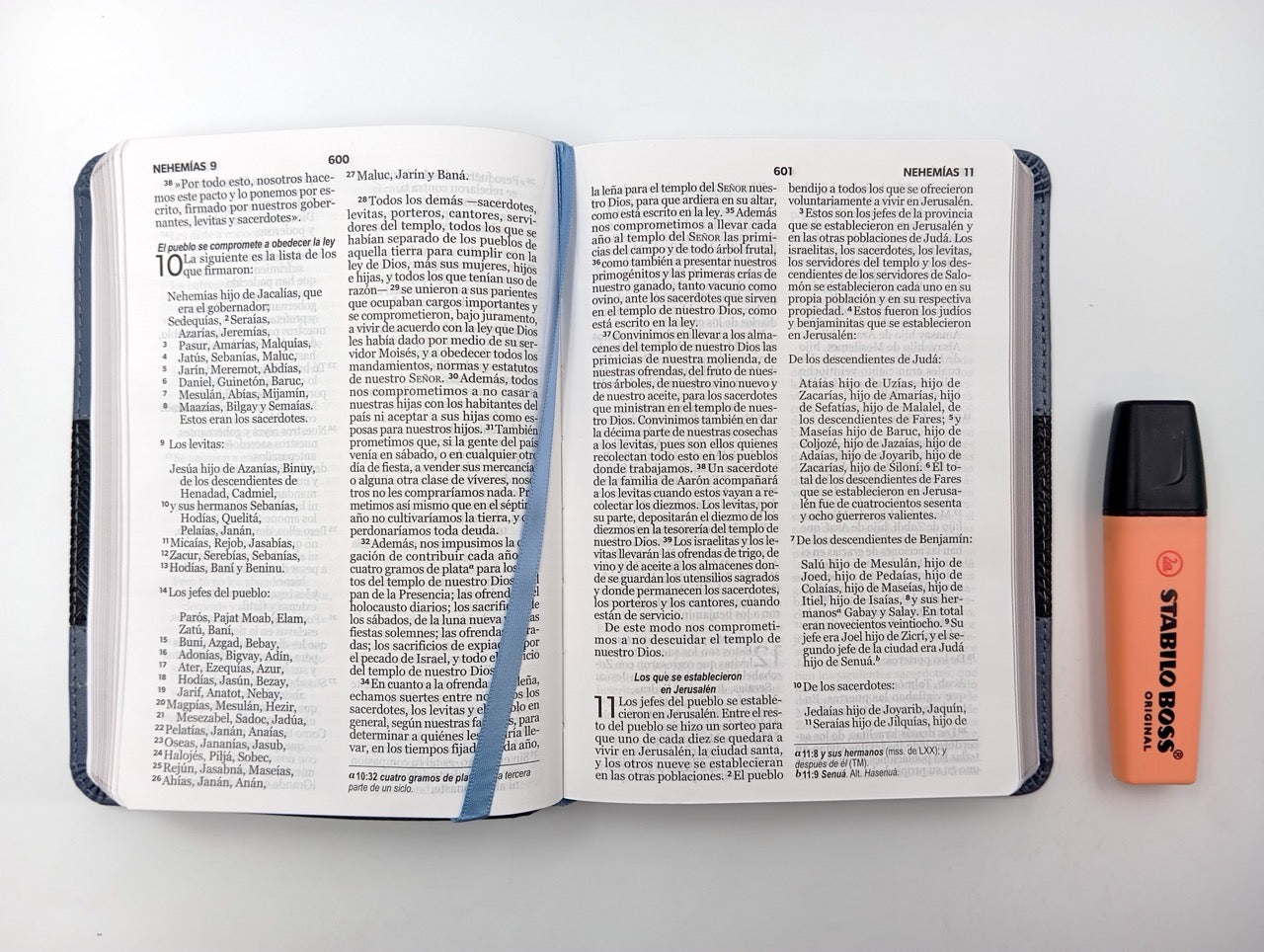 Biblia NVI Peninsular Portátil Letra Grande Negro