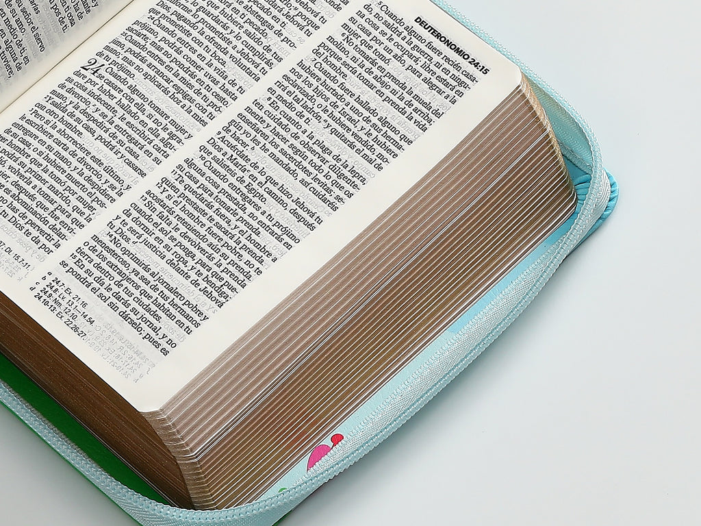 Biblia RVR60 tamaño bolsillo Primor azul