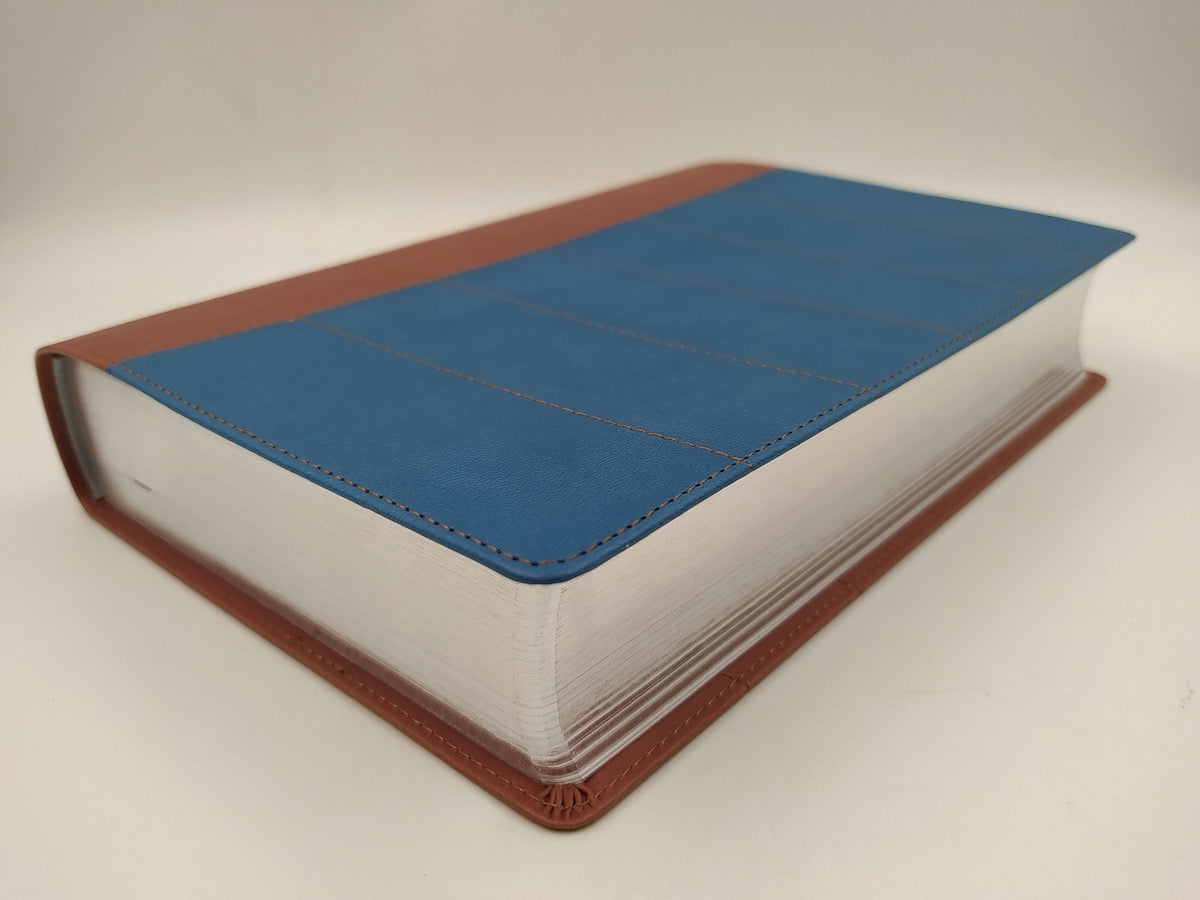 Biblia Thompson RVR60 para estudio biblico Dos Tonos