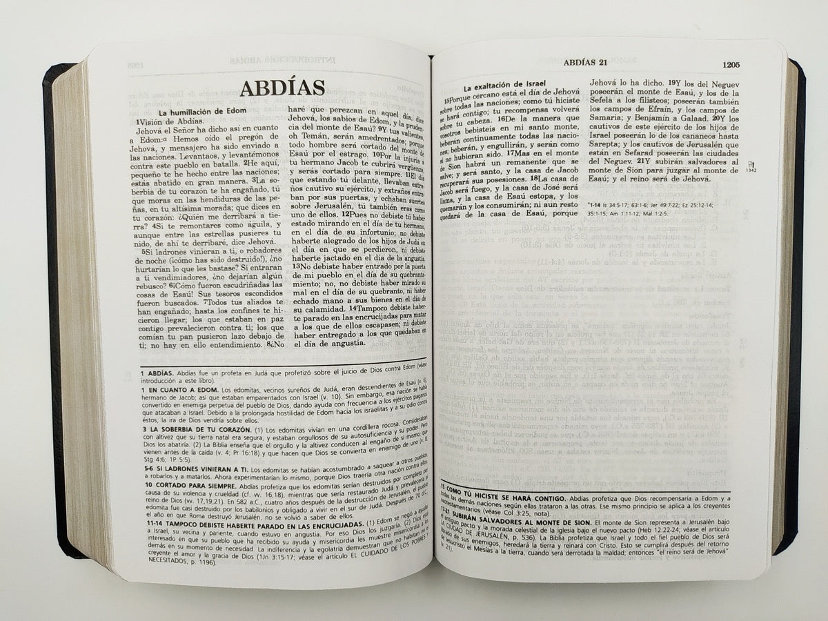 Biblia de estudio Vida Plena RVR60 piel Negro