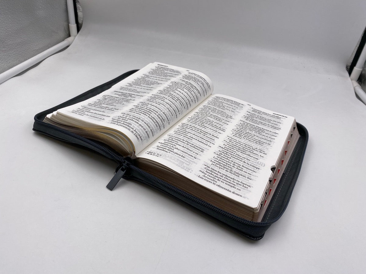 Biblia RVR60 Tamaño Manual Letra Grande cierre indice